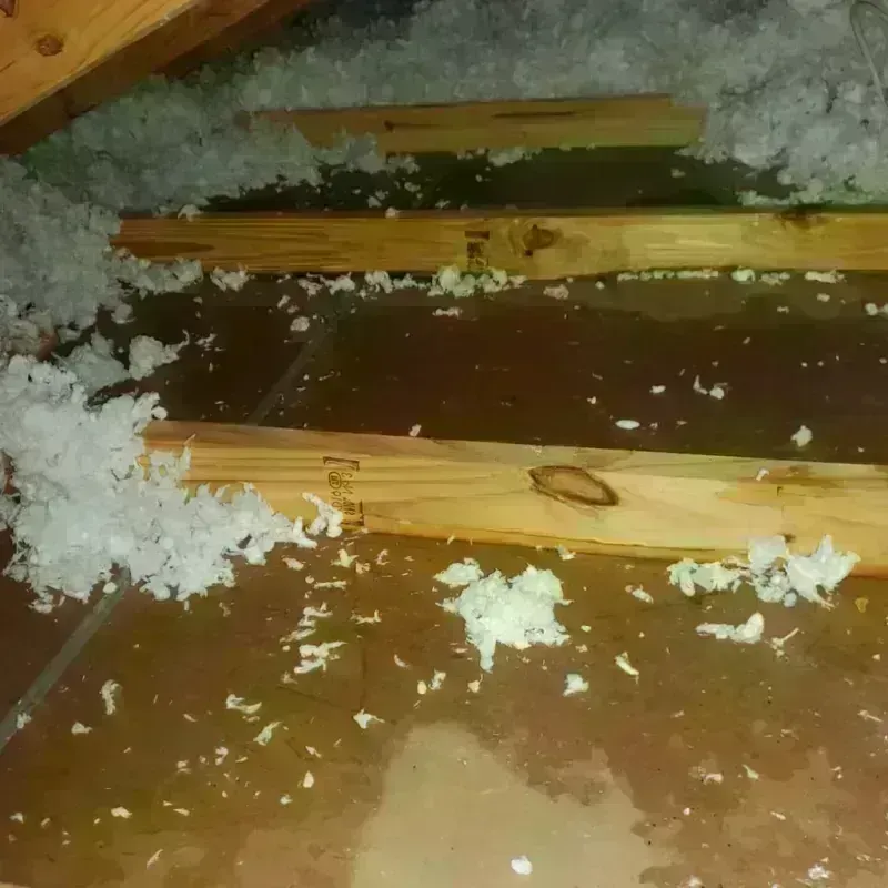 Attic Water Damage in Clay County, IA